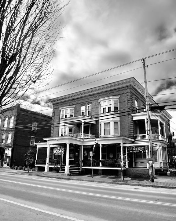 The Naples Hotel historic view